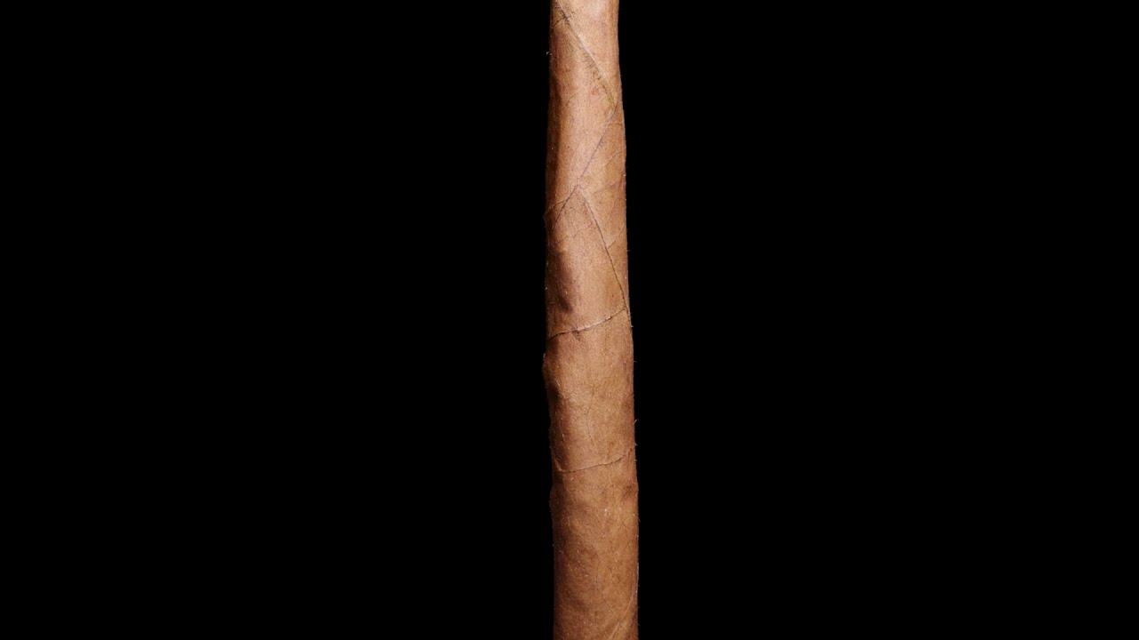 Close Up Blunt Burning 360 | Budsbie Burns (Ep.21)