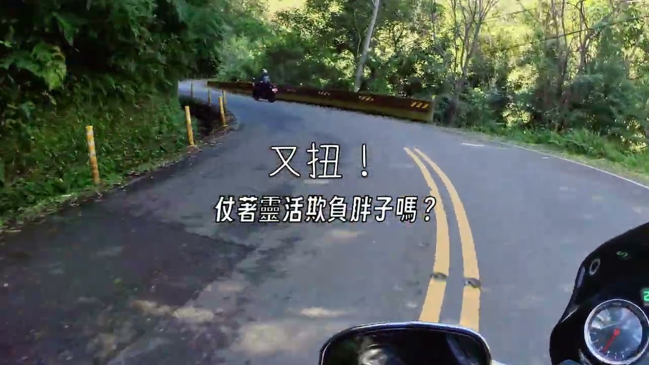 調皮的領頭車 / Suzuki SV650 / Suzuki GSF1250 Bandit