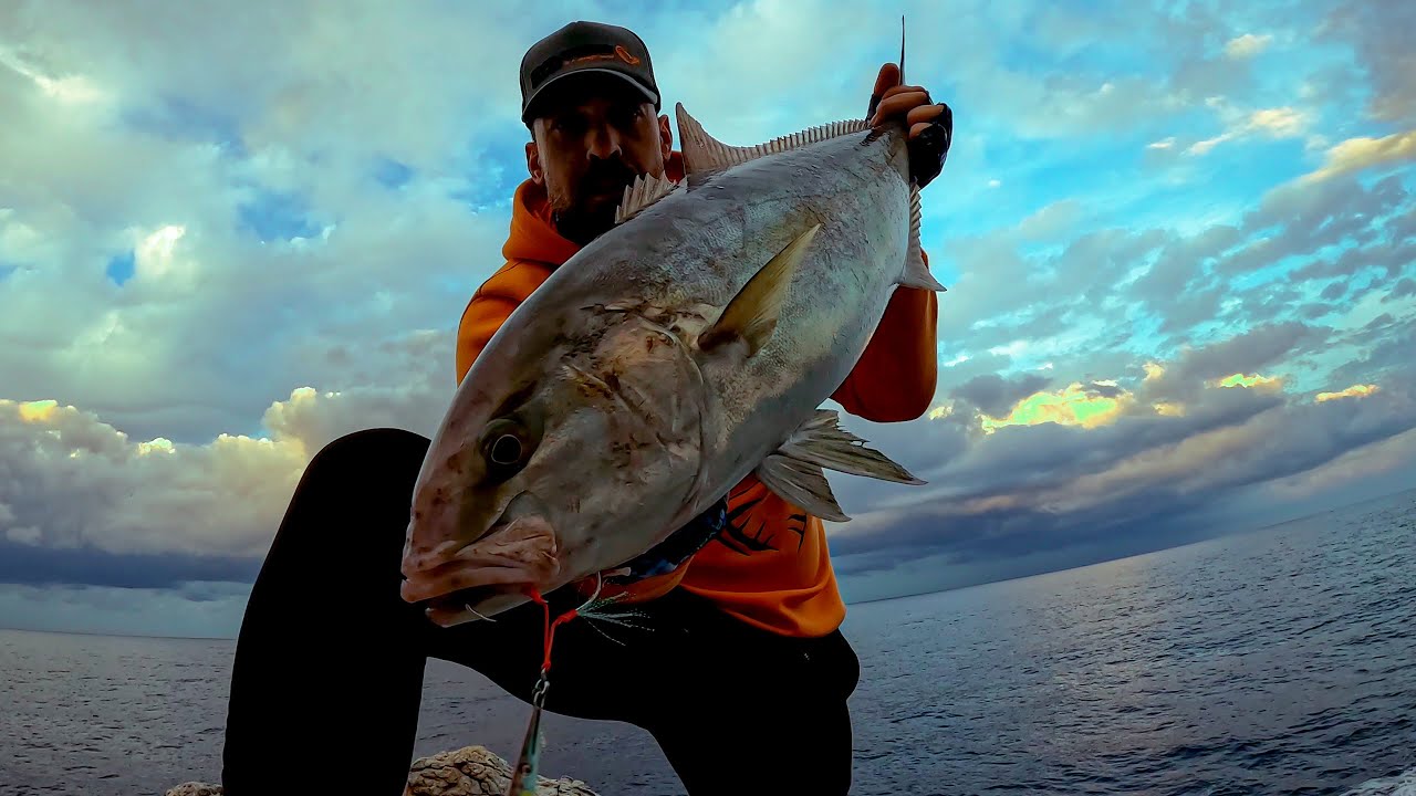 shore jiging live strike amberjack #daiwa saltiga herty rise shlashwave max 120 #savage gear