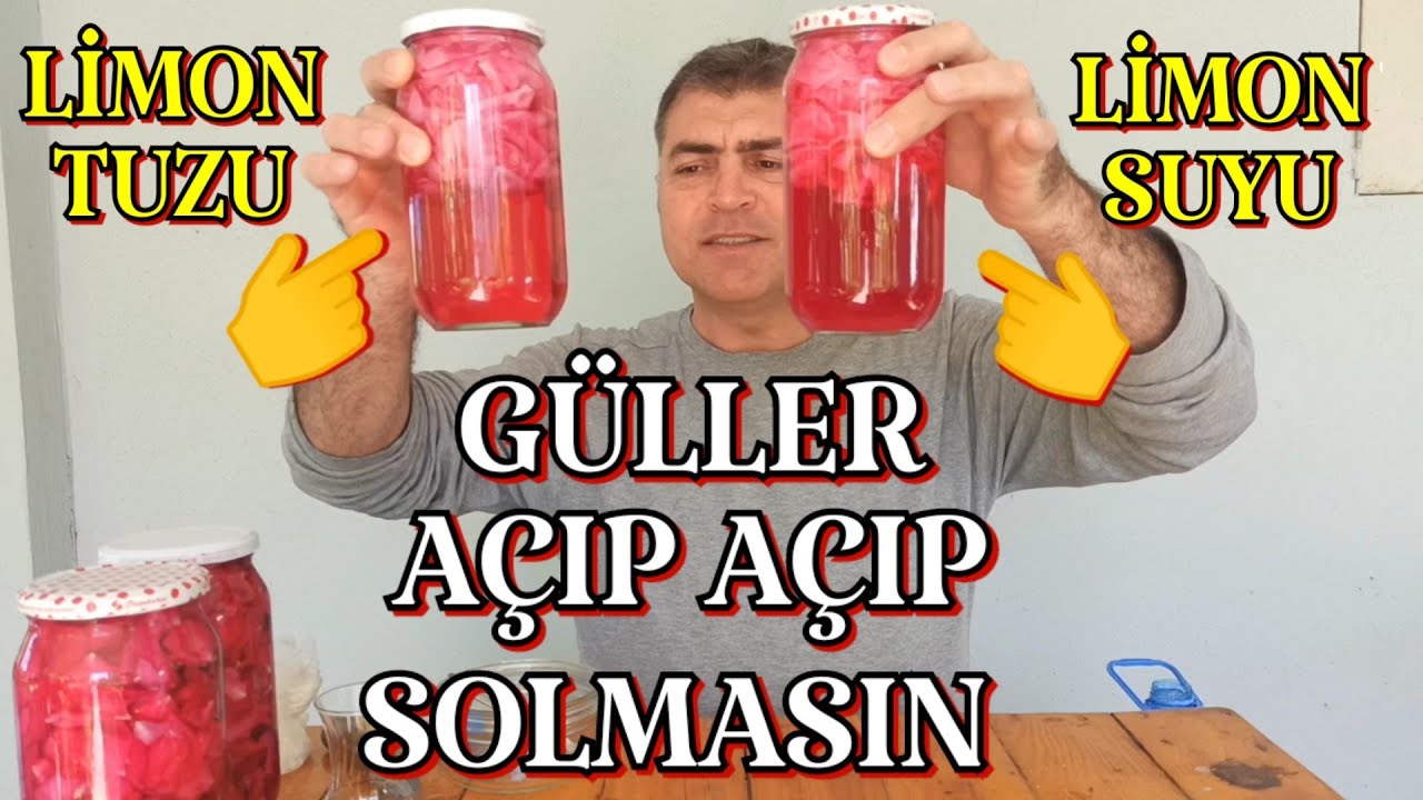 Gül Suyu Nasıl Yapılır