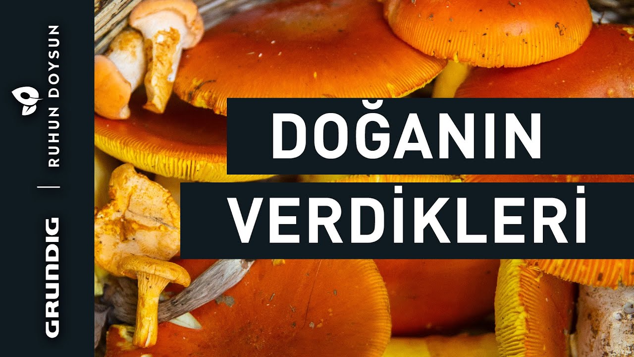 Doğanın Verdikleri | Grundig | Ruhun Doysun | 2. Sezon 8. Bölüm
