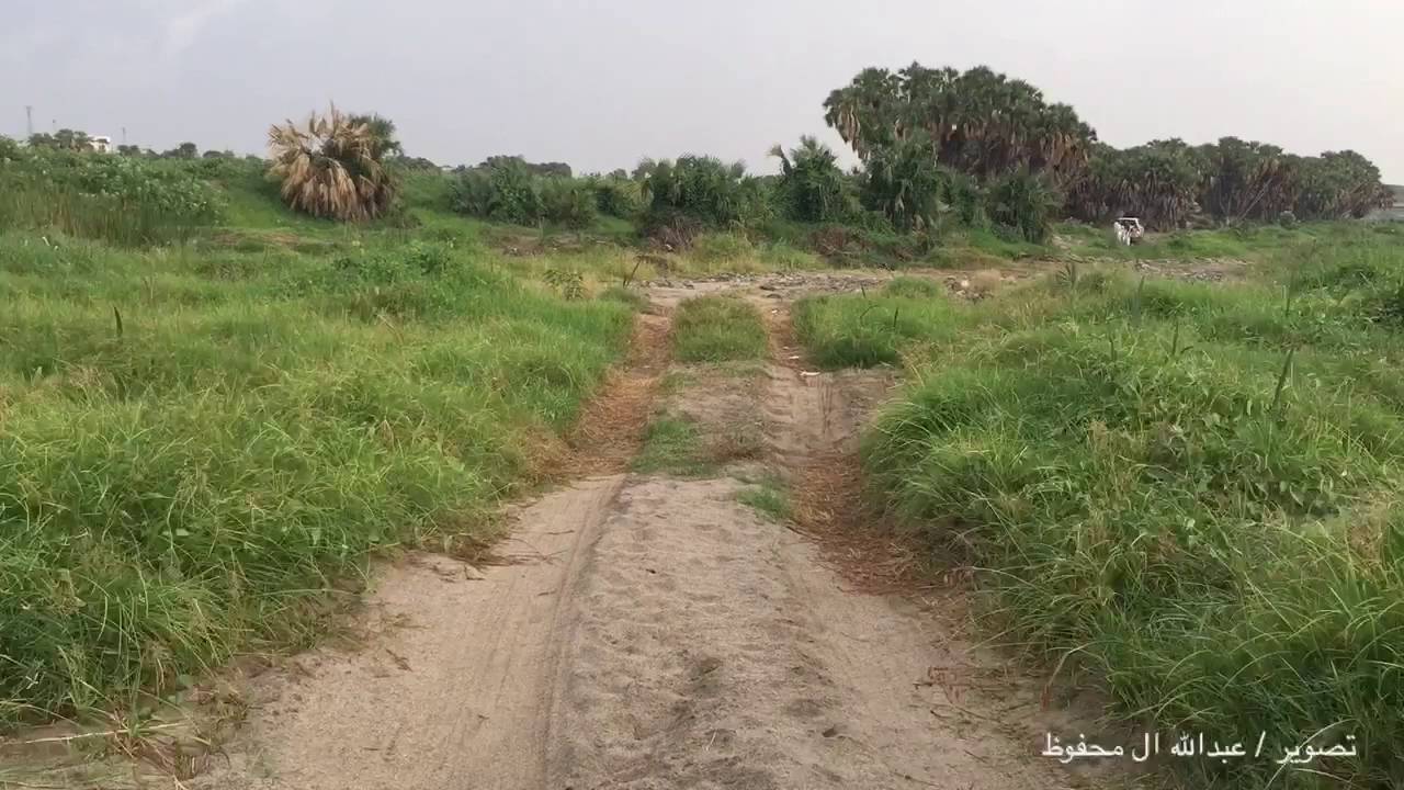 وادي الفطيحة بمحافظة بيش