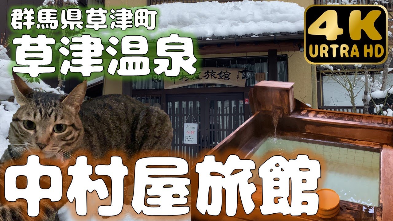 【草津温泉】5つの貸切御座敷風呂と看板猫のいる宿