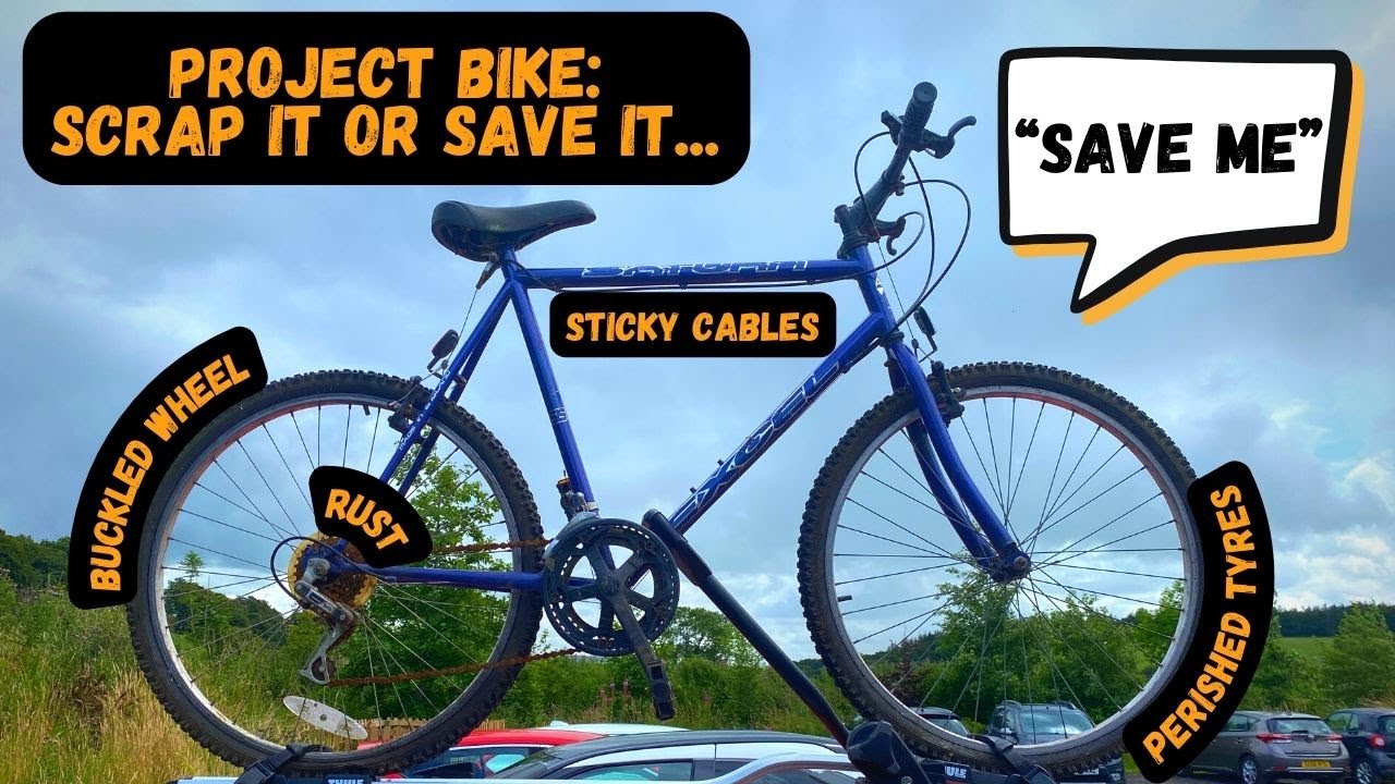 Project Bike - Scrap It or Save It?
