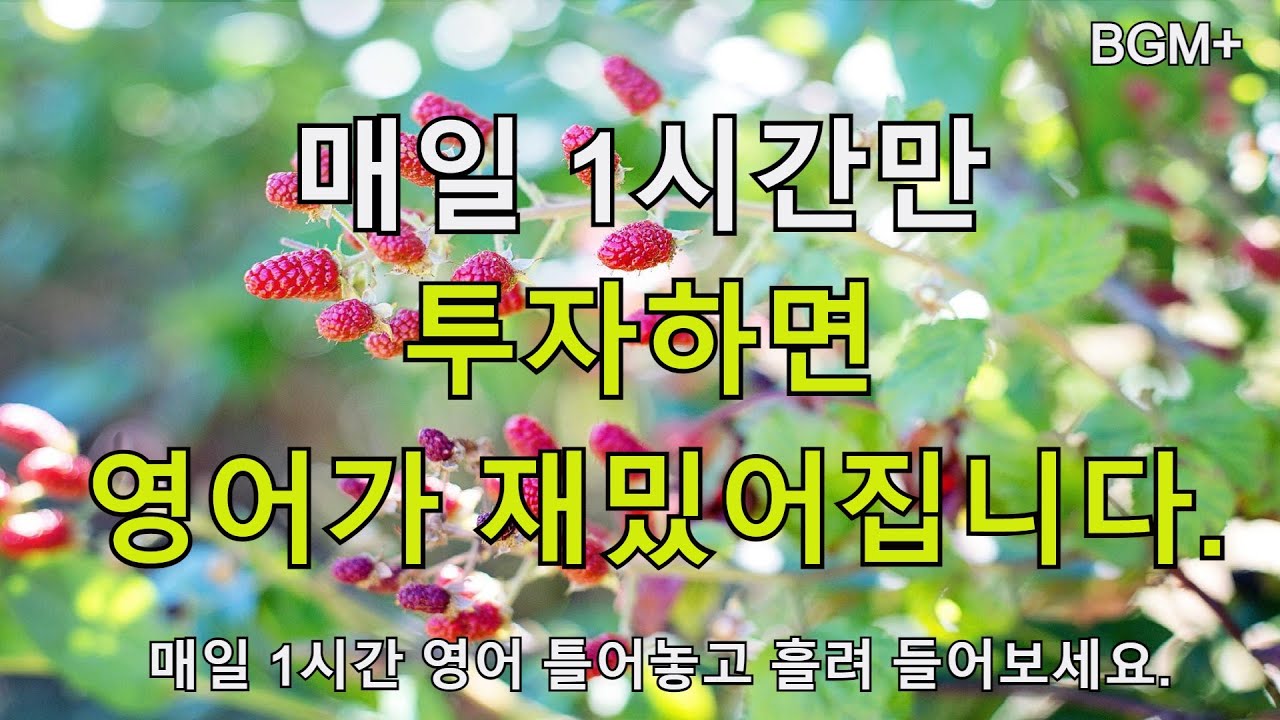 [힐링영어] 매일 1시간만 투자하면 영어가 재밌어집니다. | 매일 1시간 영어 흘려듣기 #74