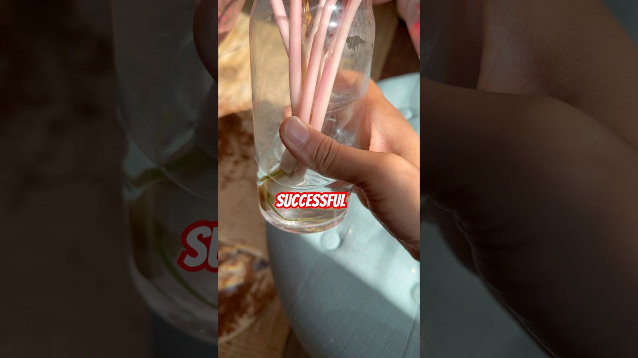 Вот как выглядит успех в растениях