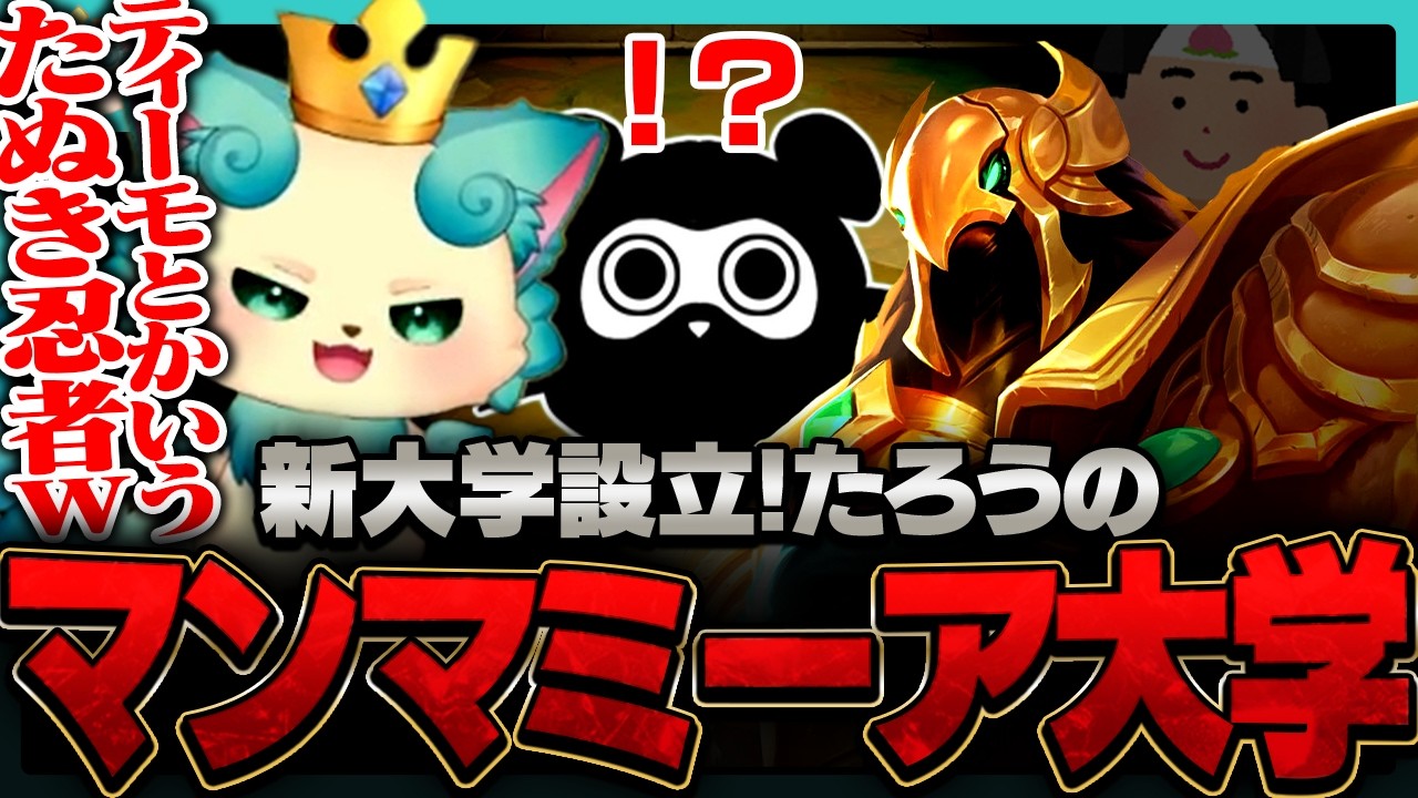 【フルプレイ】ついに新大学設立！たろうのマンマミーア大学！衝撃のラスト、なぜか殴られるたぬき忍者・・・【チャレンジャー / TFT set16】
