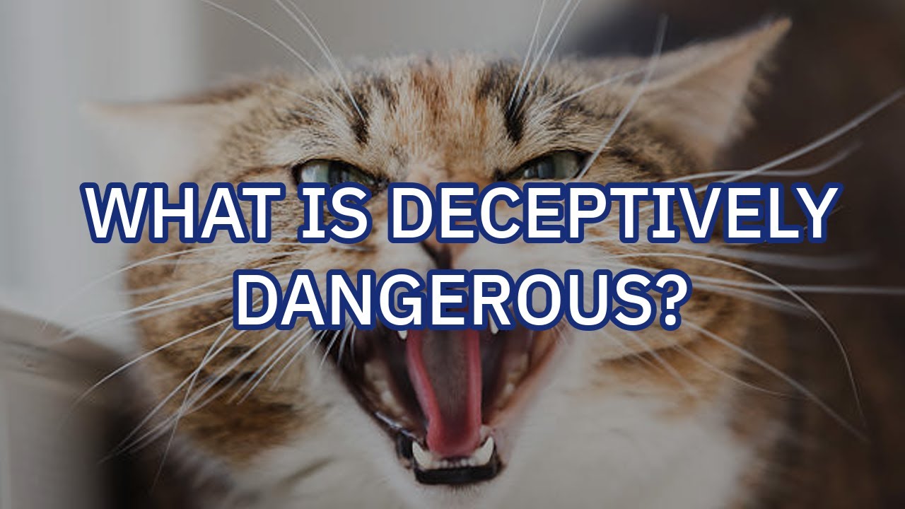 What's something that can be MORE DANGEROUS than people REALIZE?