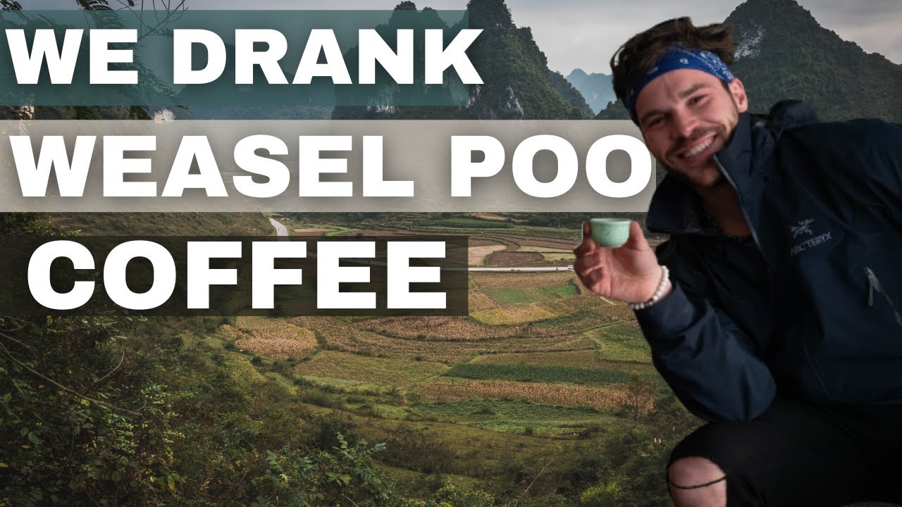 THE MOST EXPENSIVE DRINK IN THE WORLD ($1300 Per KG!!!) | EP 1 Vietnam Bike Trip