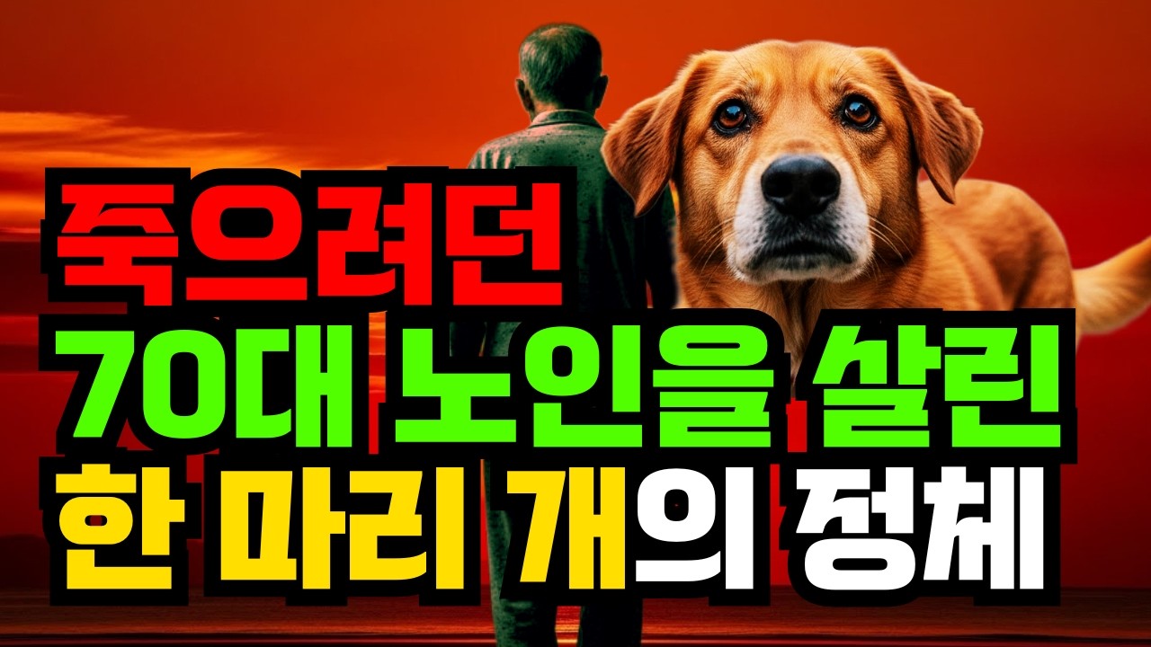 죽으려던 70대 노인을 살린 한 마리 개의 정체