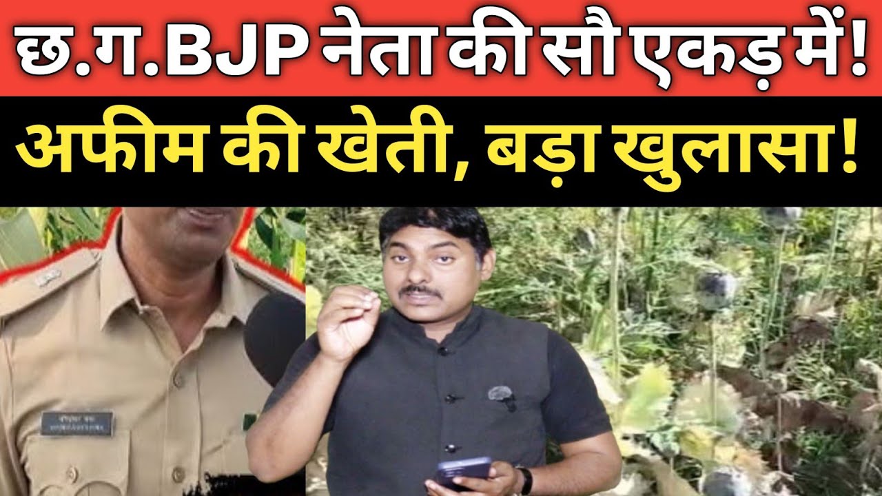 Durg Samoda दुर्ग में अफीम की खेती ! सियासी भू/चाल cg viral I Afim ki kheti I BJP Neta 