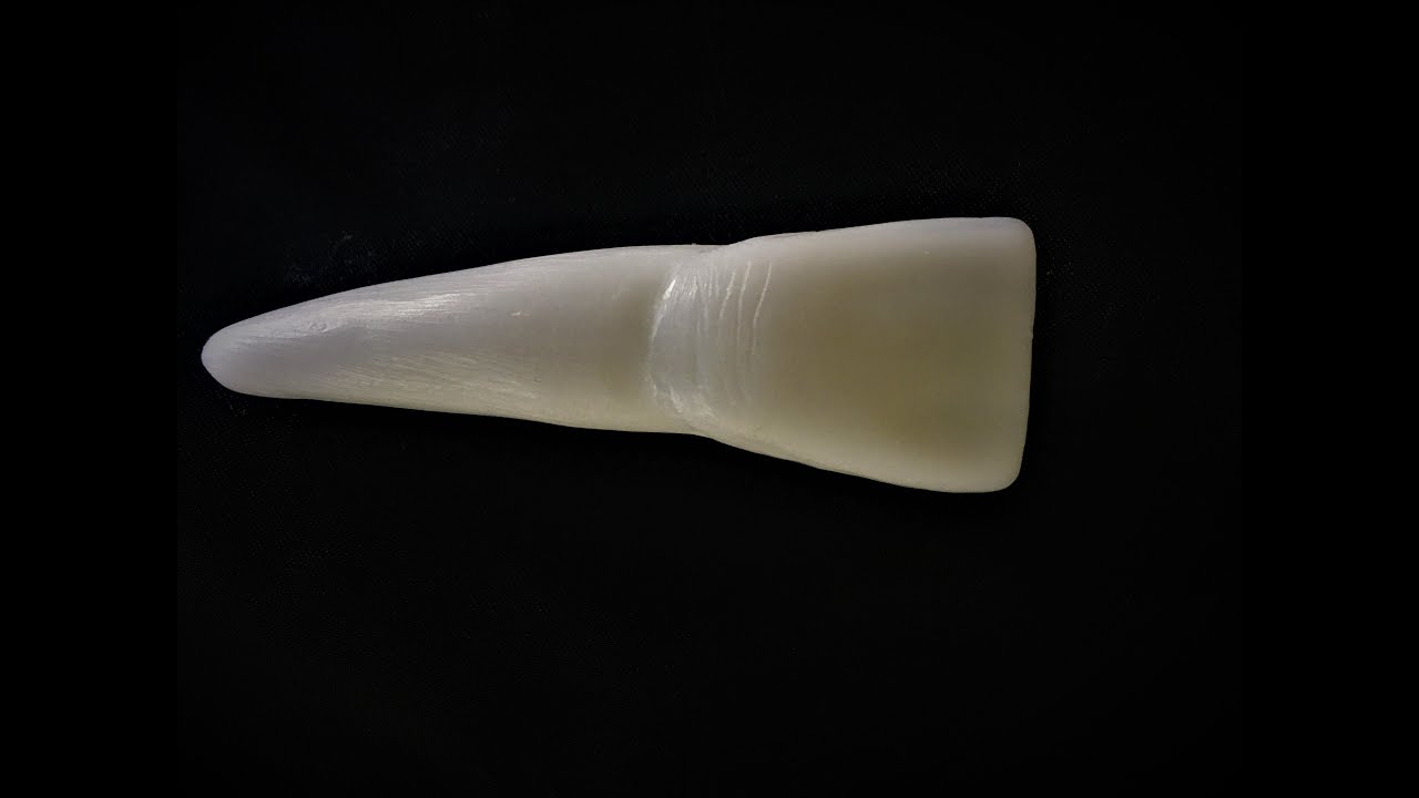 Maksiller Orta Kesici(Santral) Sabun Yontu-Maxillary Central Incısor Soap Carving