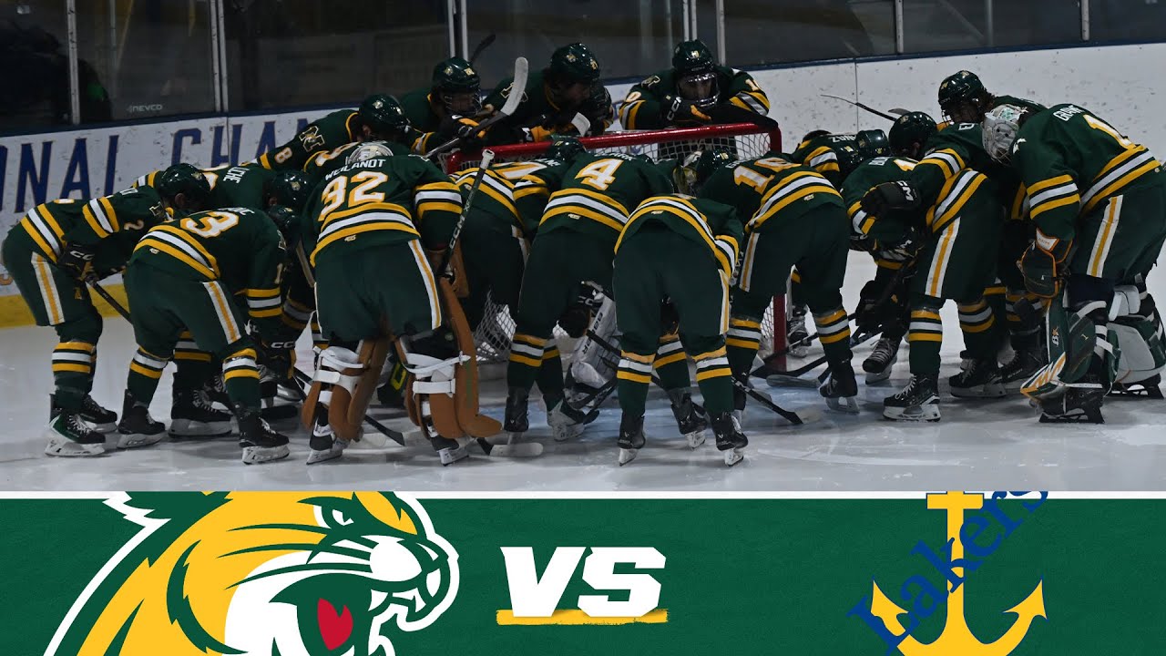 Hockey vs Lake Superior State Highlights - 1/4/2026