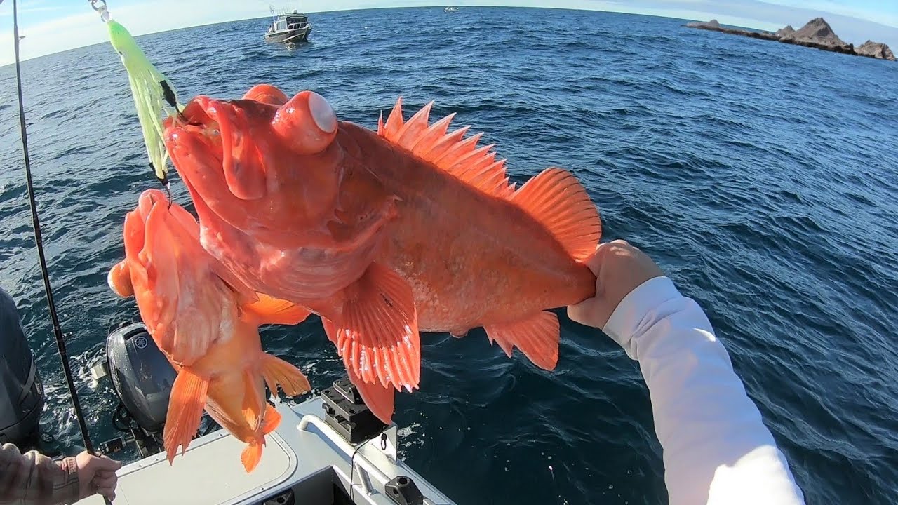 FIRST TIME Driving to FARALLON ISLANDS | Rockfish Lingcod Fishing