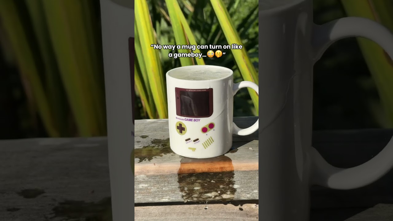 #lifeisbutadream #pokemon #mug #gaming #gamingsetup