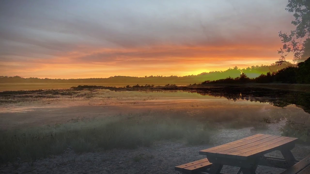 The great surroundings of Landal Greenparks Duc de Brabant