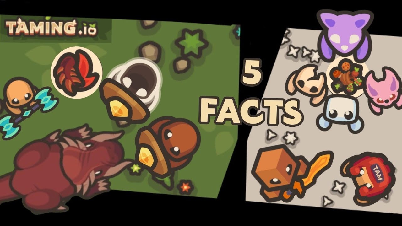 5 FACTS THAT U DIDN'T KNOW IN TAMING.IO - Taming.io 