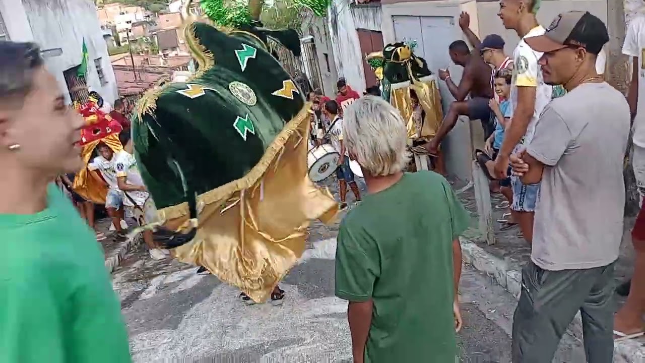 Saída oficial do boi magia