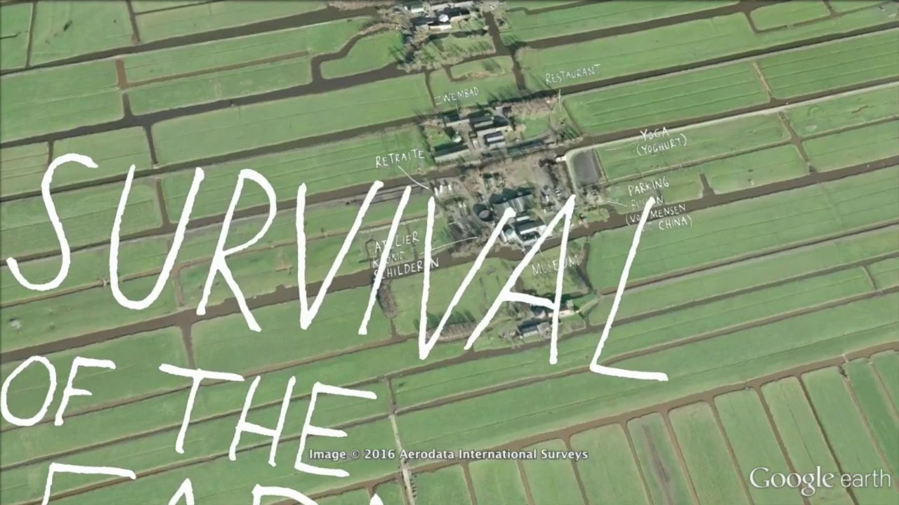 Vrije tijd - Tracy in Nederland