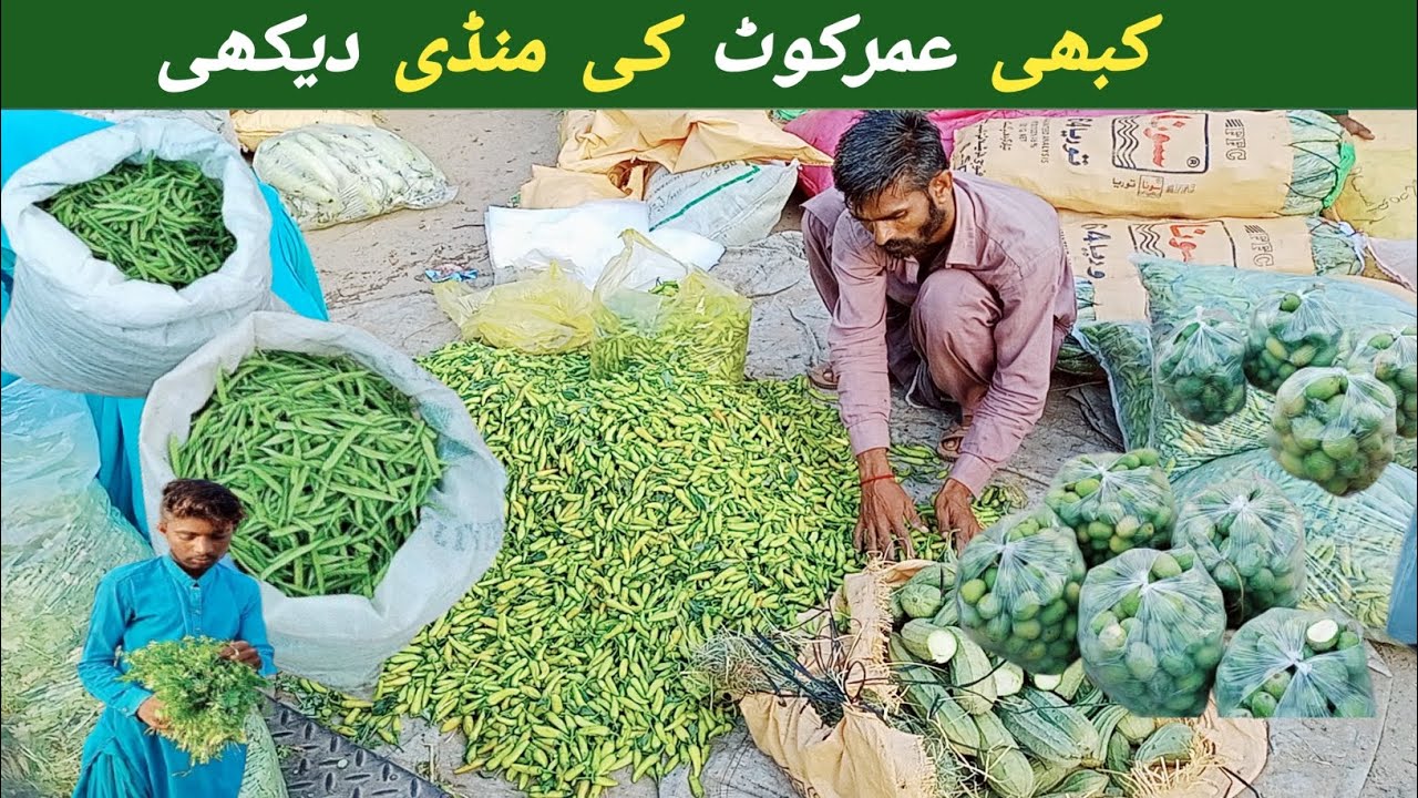 Umarkot (Amarkot) city sindh Pakistan  l foodies aao l umerkot