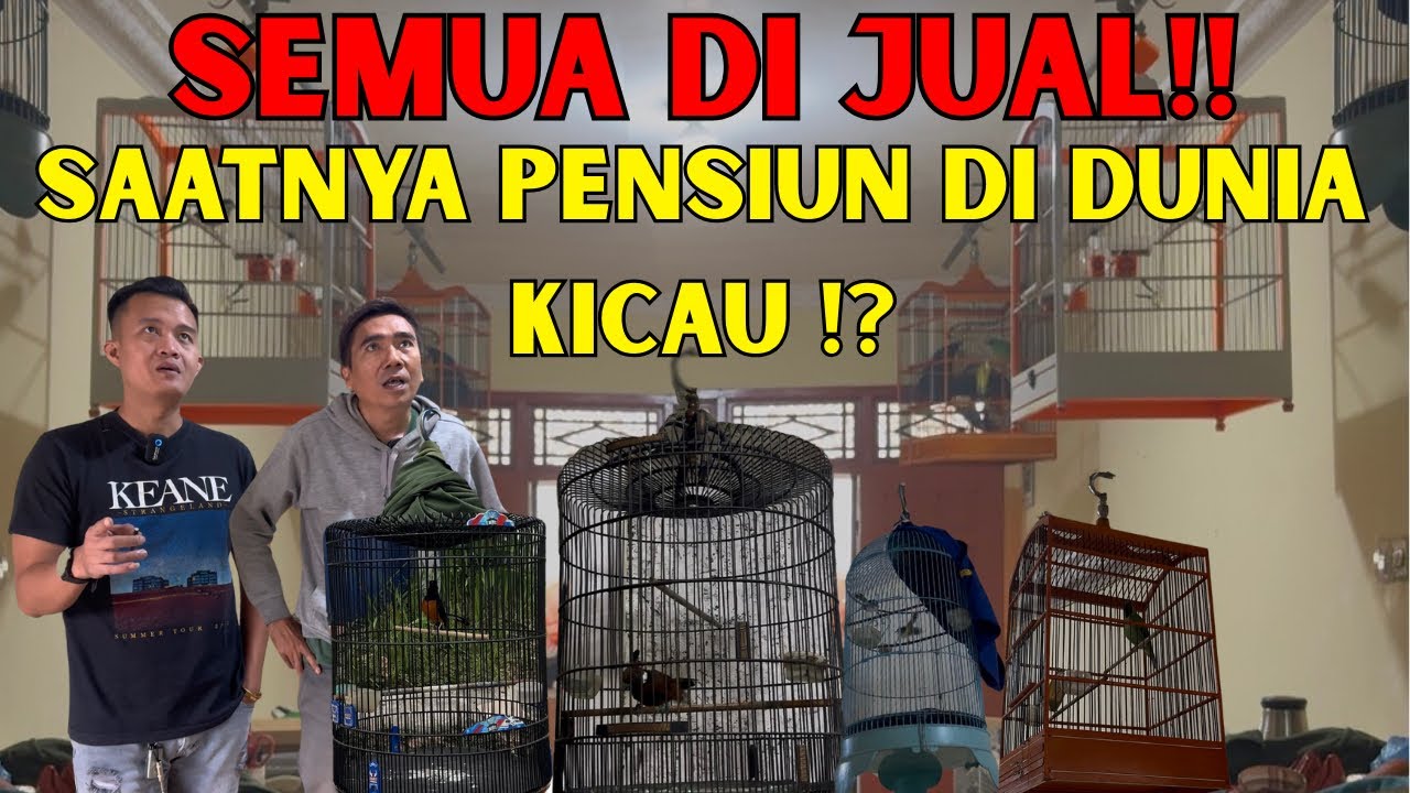 BURUNG EX GANTANGAN & MASTERAN DIJUAL SEMUA, HOBBIES INI PENSIUN DI DUNIA KICAU ‼️