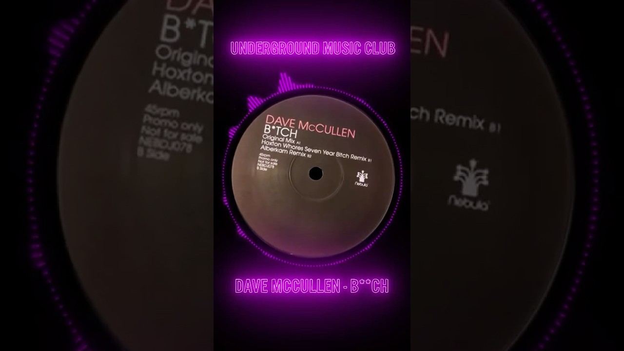 Dave McCullen &ndash; B*tch - 2005