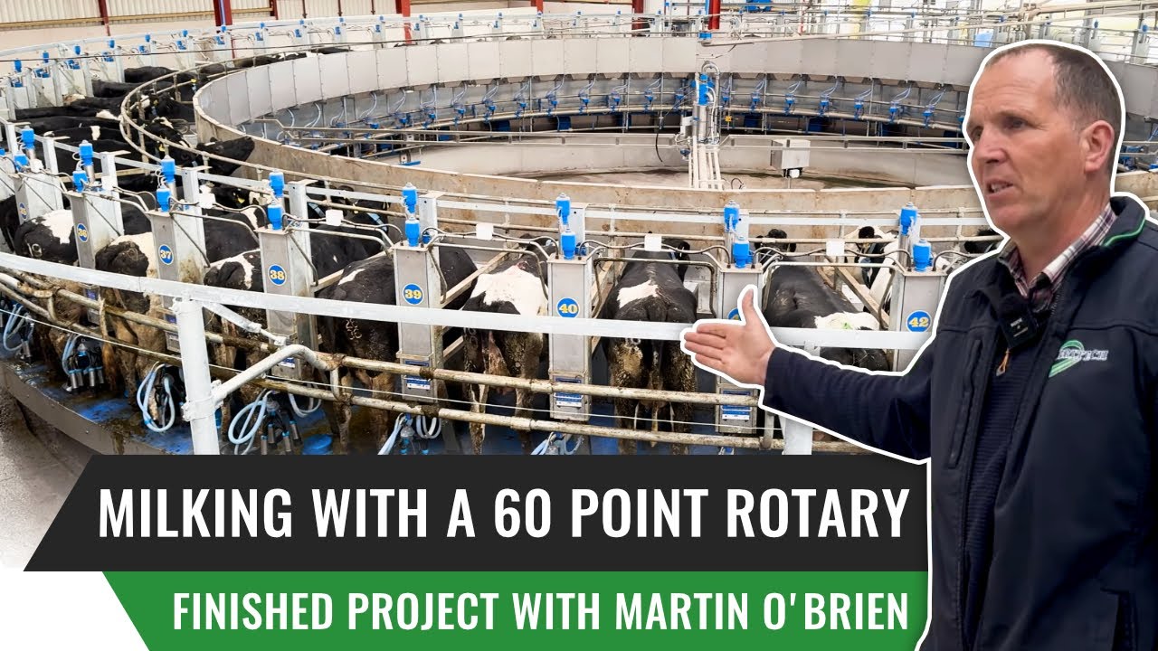 Milking with a 60 Point Rotary: Finished Project with Martin O Brien
