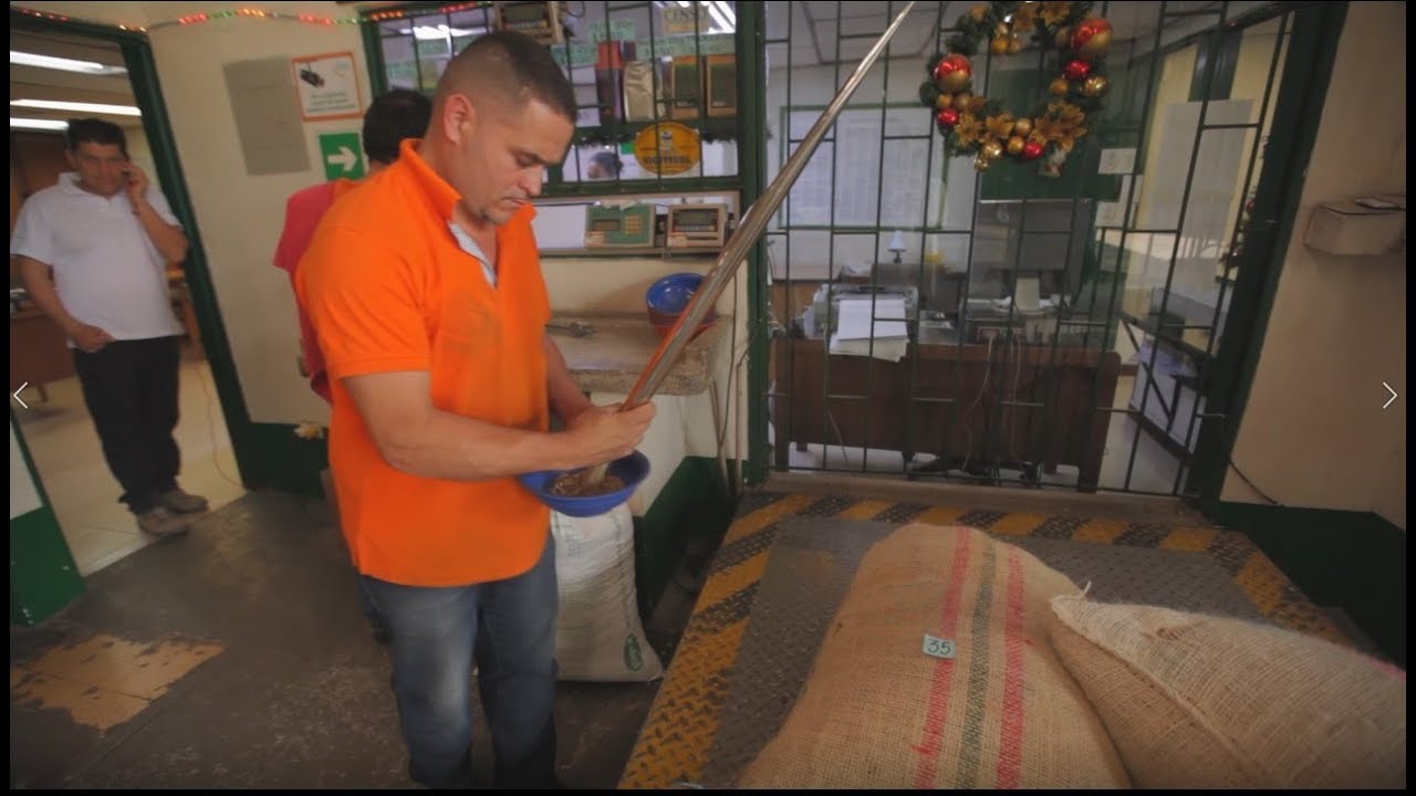 Cómo Usar su Cédula Cafetera en las Cooperativas de Caficultores