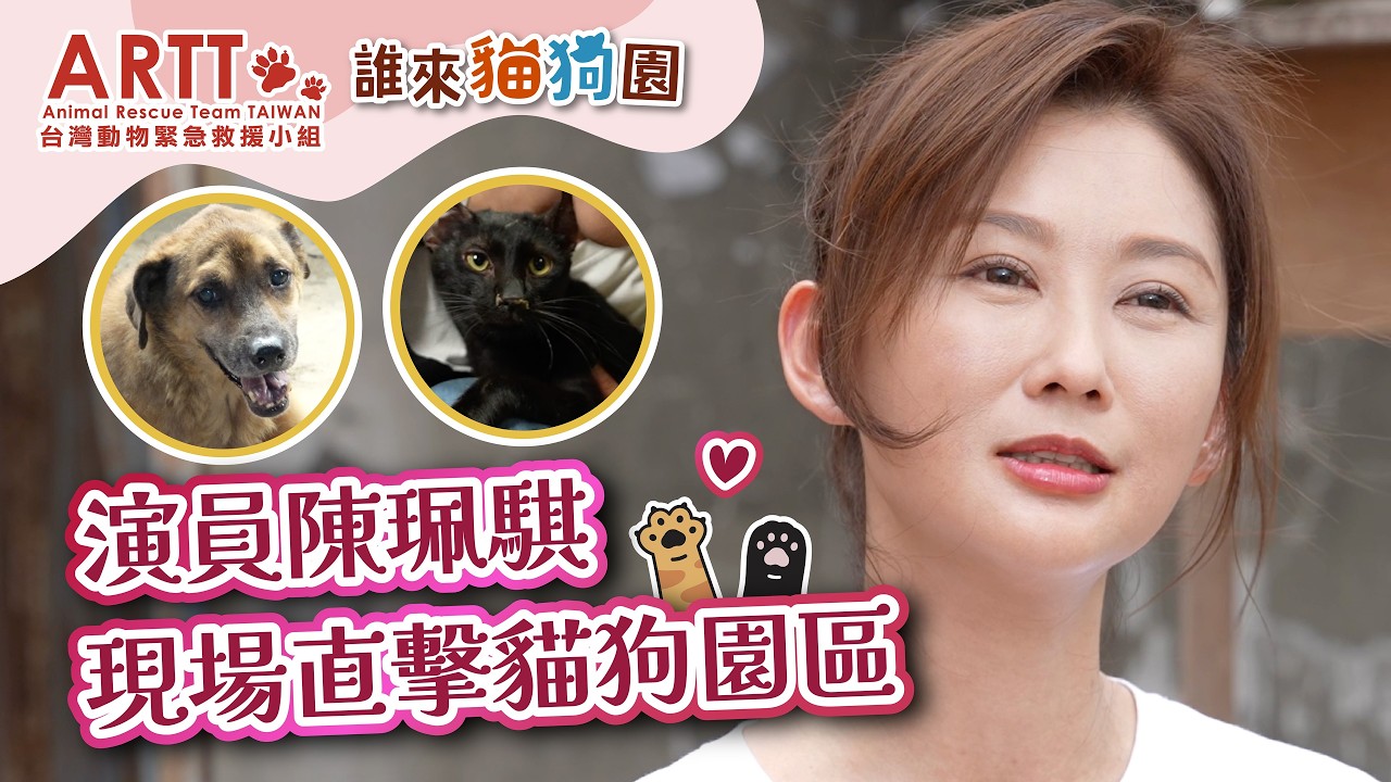 【誰來貓狗園】EP02 ∣ 知名演員陳珮騏回到高雄家鄉親探貓狗園區 分享照顧老病犬、如何向生命說再見
