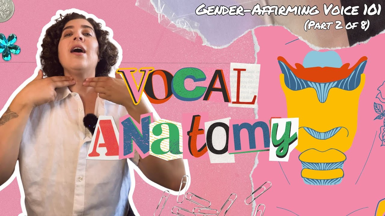Vocal Anatomy (Gender-Affirming Voice 101 - part 2 of 8)