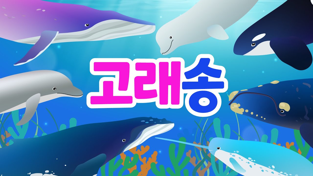 [고래송] 🎶모든 고래 노래로 만나기ㅣ바다 포유류 동물 동요ㅣ고래의 종류ㅣ돌고래 ㅣ바다의왕 by 너울나비