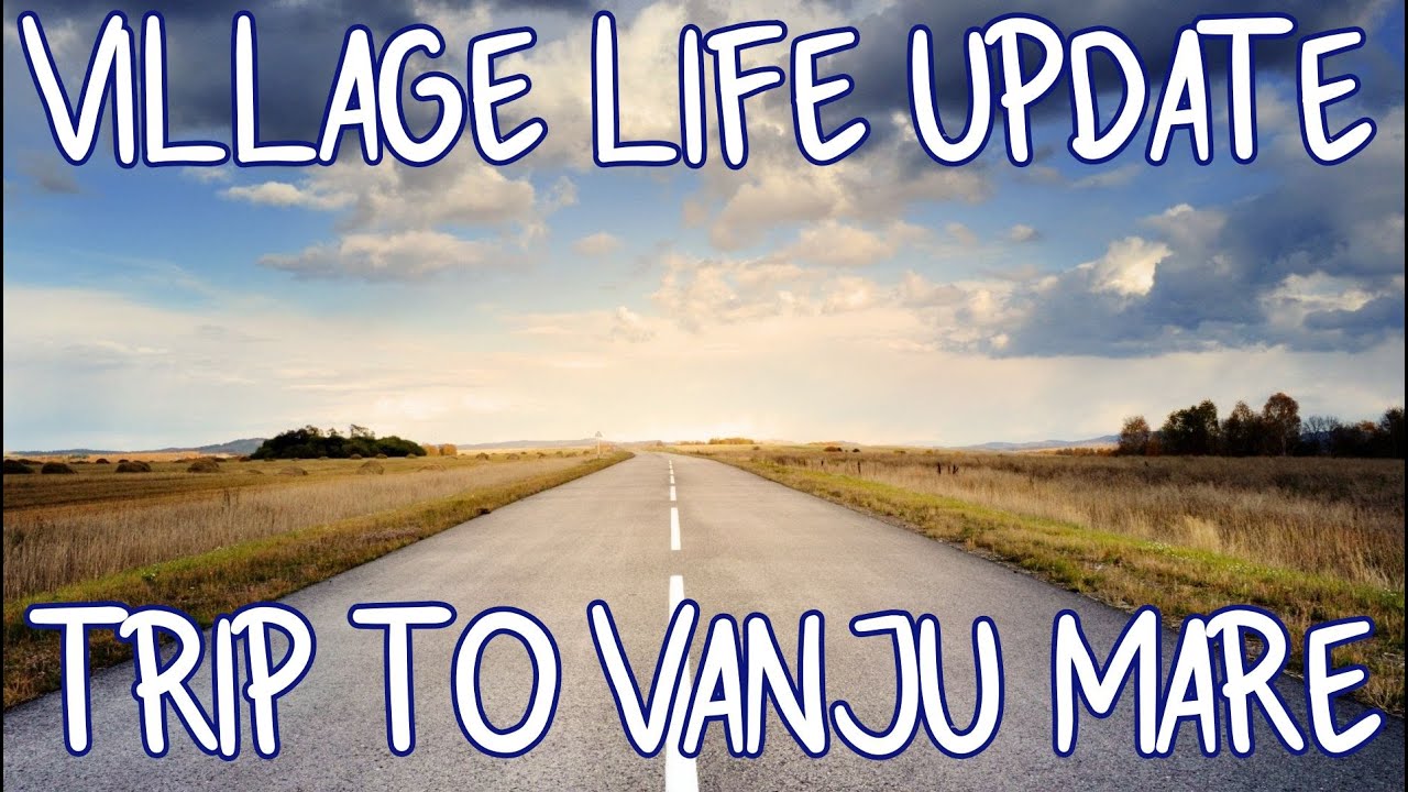 Exploring around our Romanian Village: Shopping Trip to Small City Vanju Mare