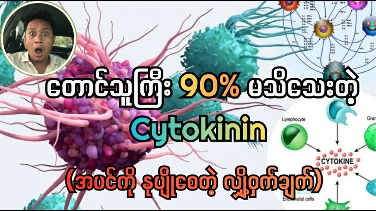 Smart Farmer တွေ 2026 မှာ သုံးနေတဲ့  အပင်ဟိုမုန်း#1 (Cytokinin)
