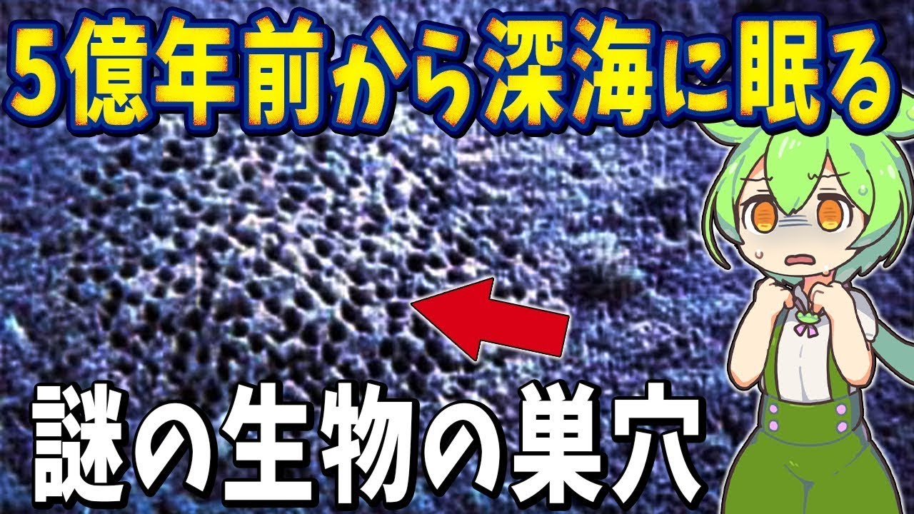 生物の謎７選！5億年前の地層から発見された生痕化石に残る謎の構造物【総集編】