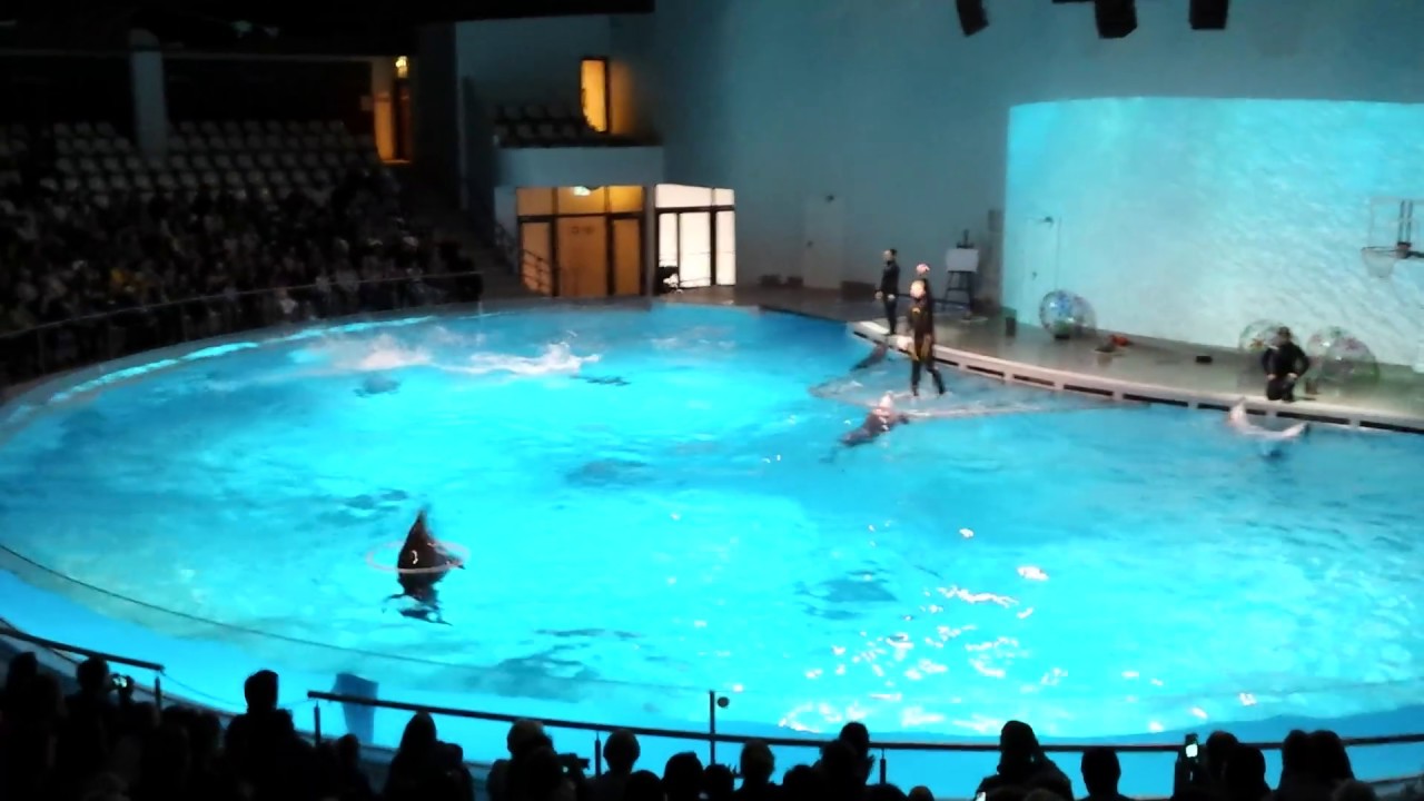 Litwa Klajpeda - Delfinarium