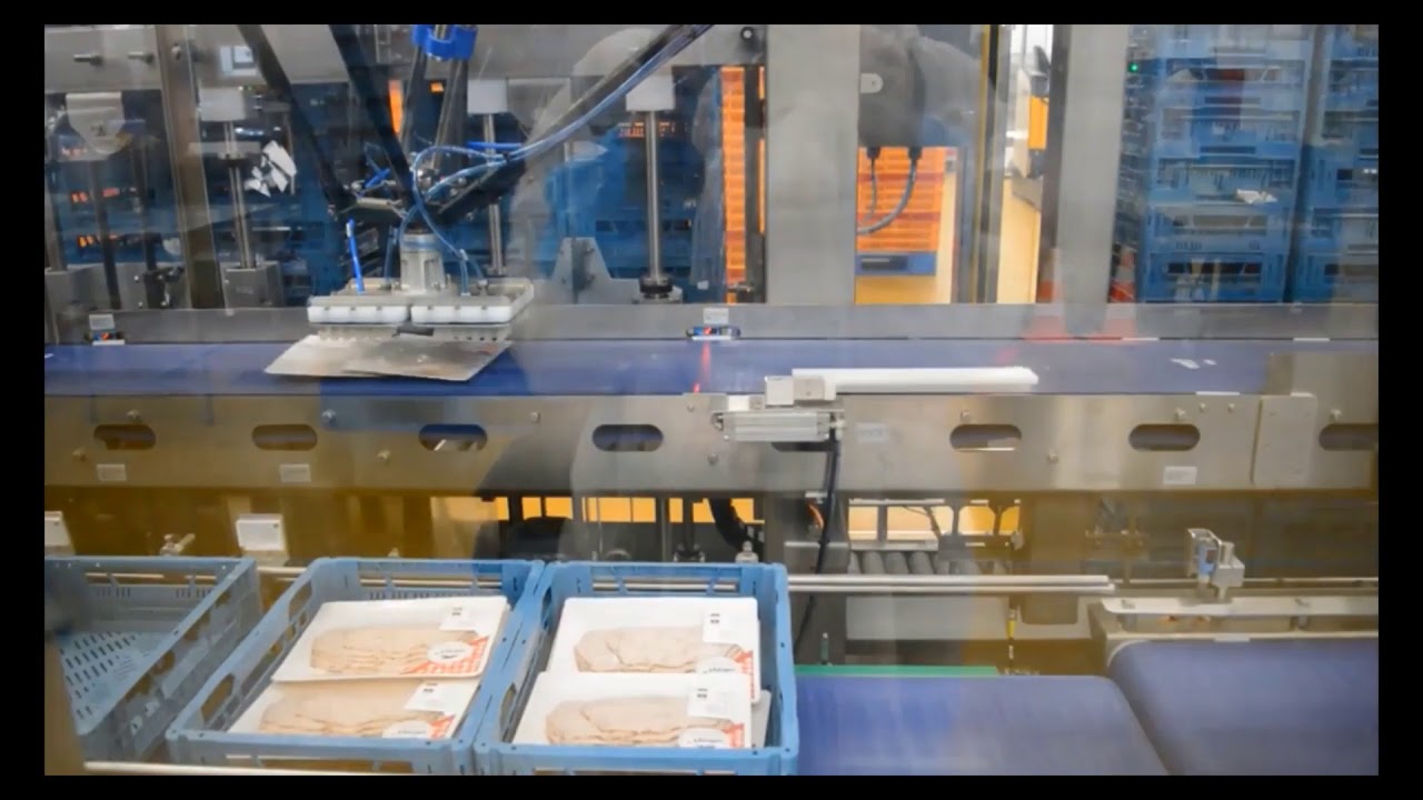 codian robotics packaging