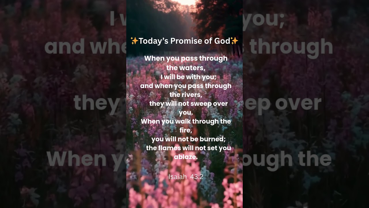 👉 God&rsquo;s Promise for You Today &ndash; Isaiah 43:2 | Daily Bible Voice English | 30-09-2025 #godspromise