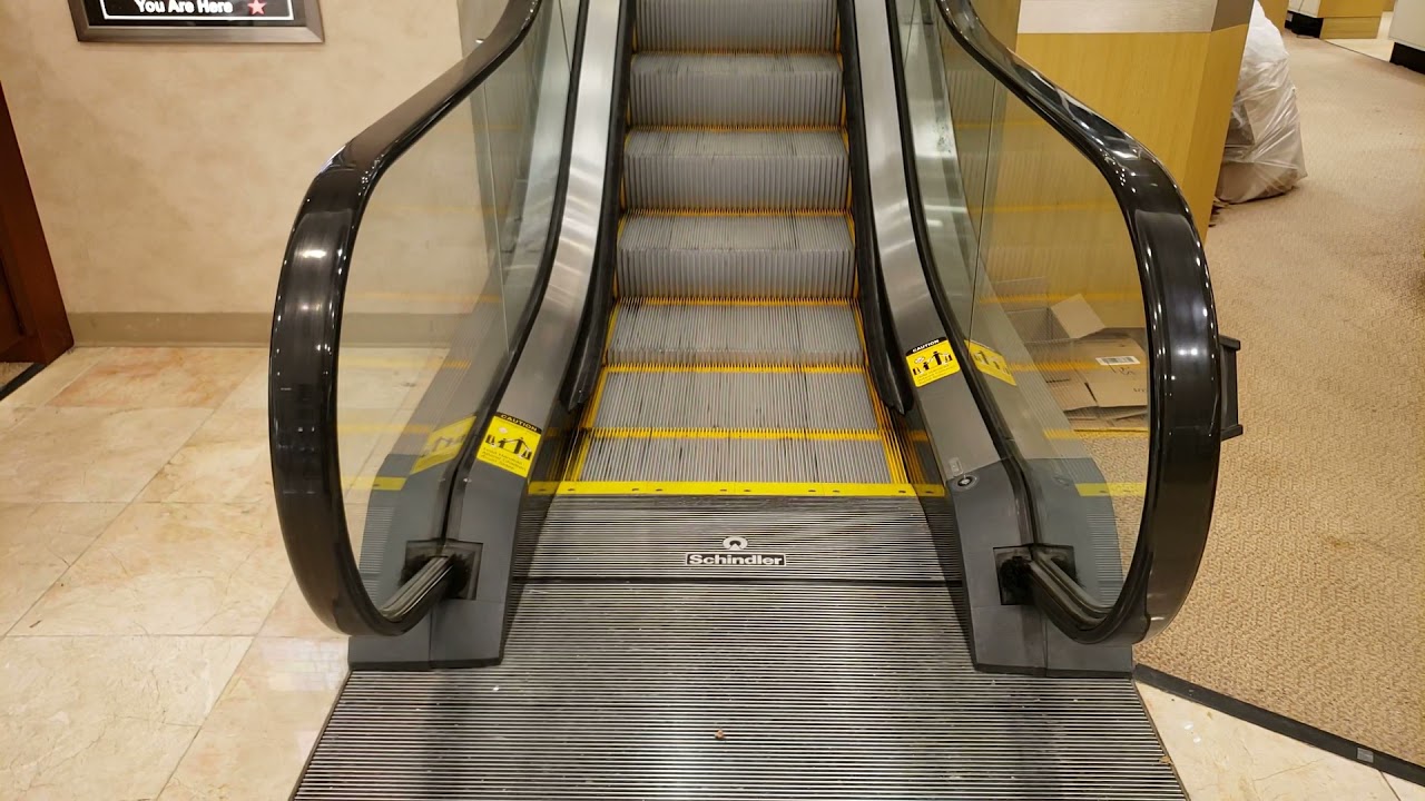 Schindler 9300AE Escalators @ Dillard's, The Shops at Fallen Timbers, Maumee, OH