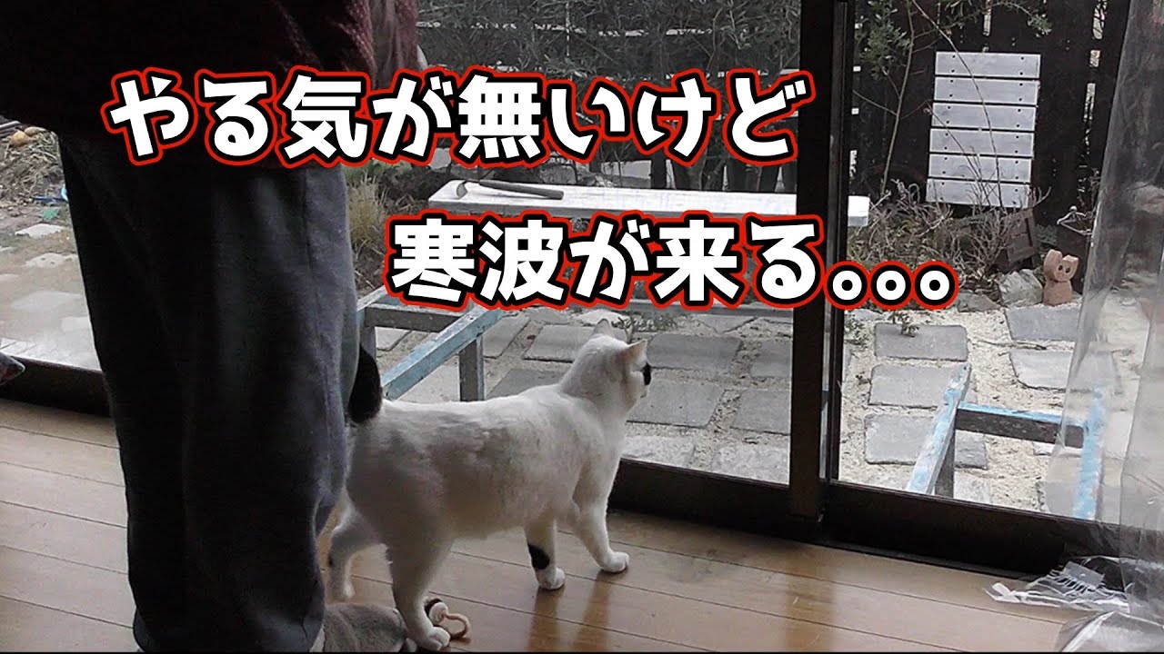 最低限頑張る日。やる気が無い日に限って最強寒波とかどうしよっ【田舎暮らし】【保護猫