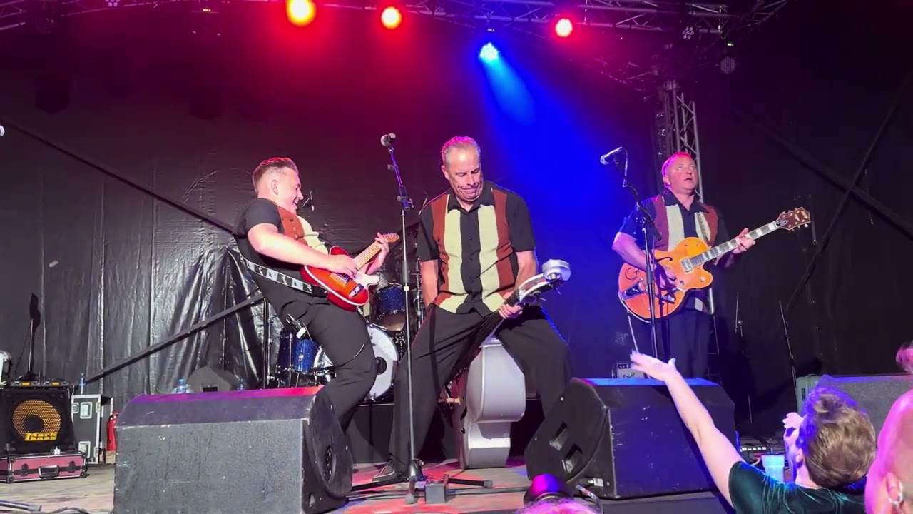 The Firebirds - Rockabilly Rebel