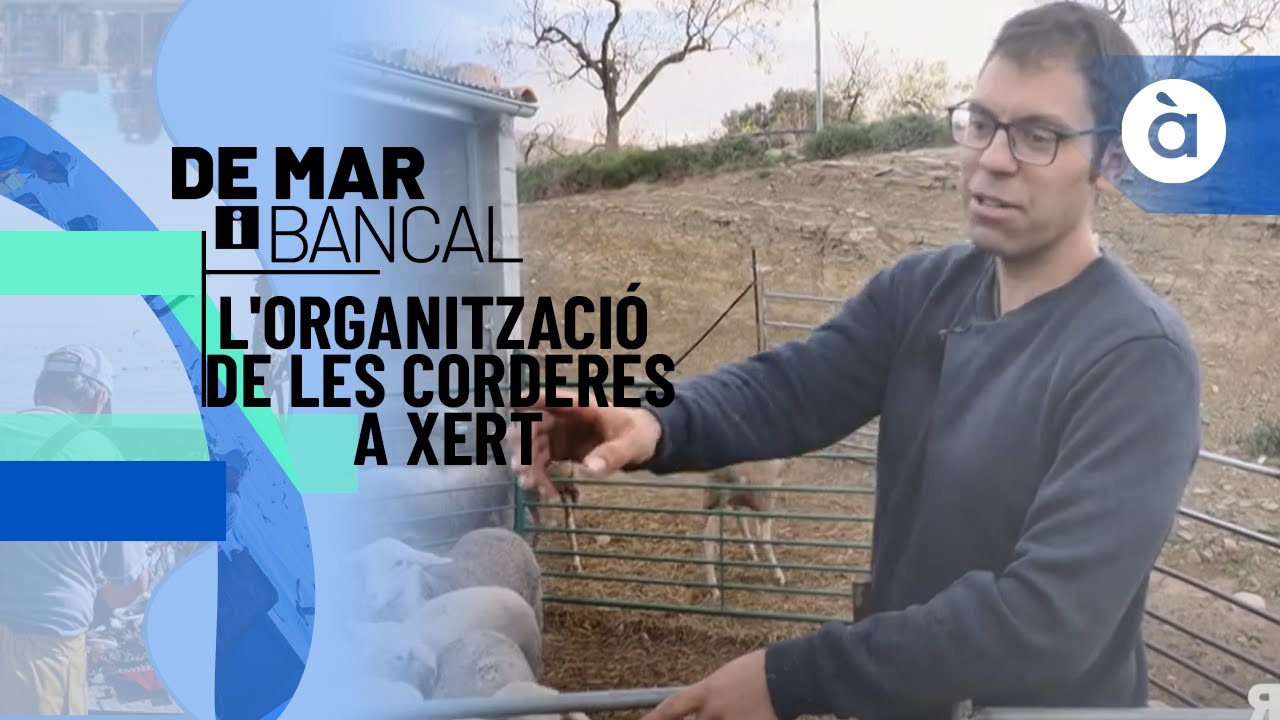 L'organització de les corderes a Xert - De mar i bancal
