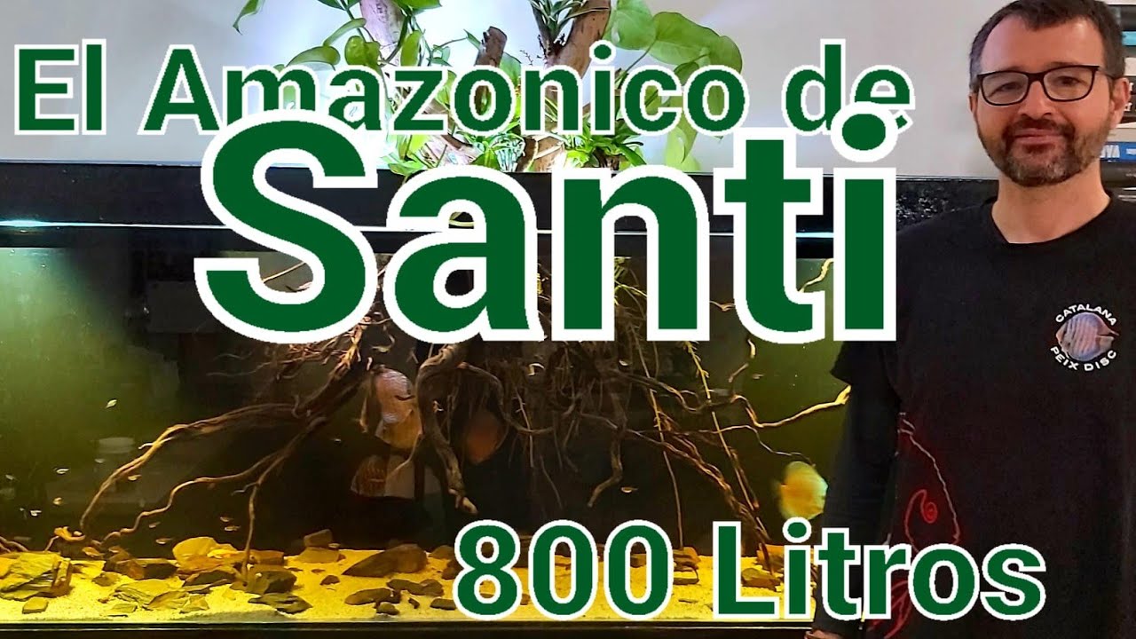ACUARIO AMAZONICO DE DISCUS Y 800 Litros | Santi
