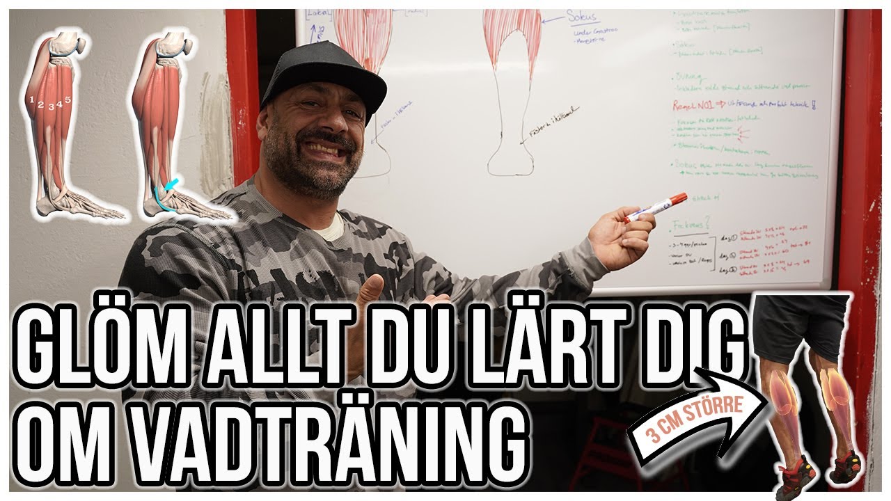 SÅ BYGGER DU UPP DINA VADER