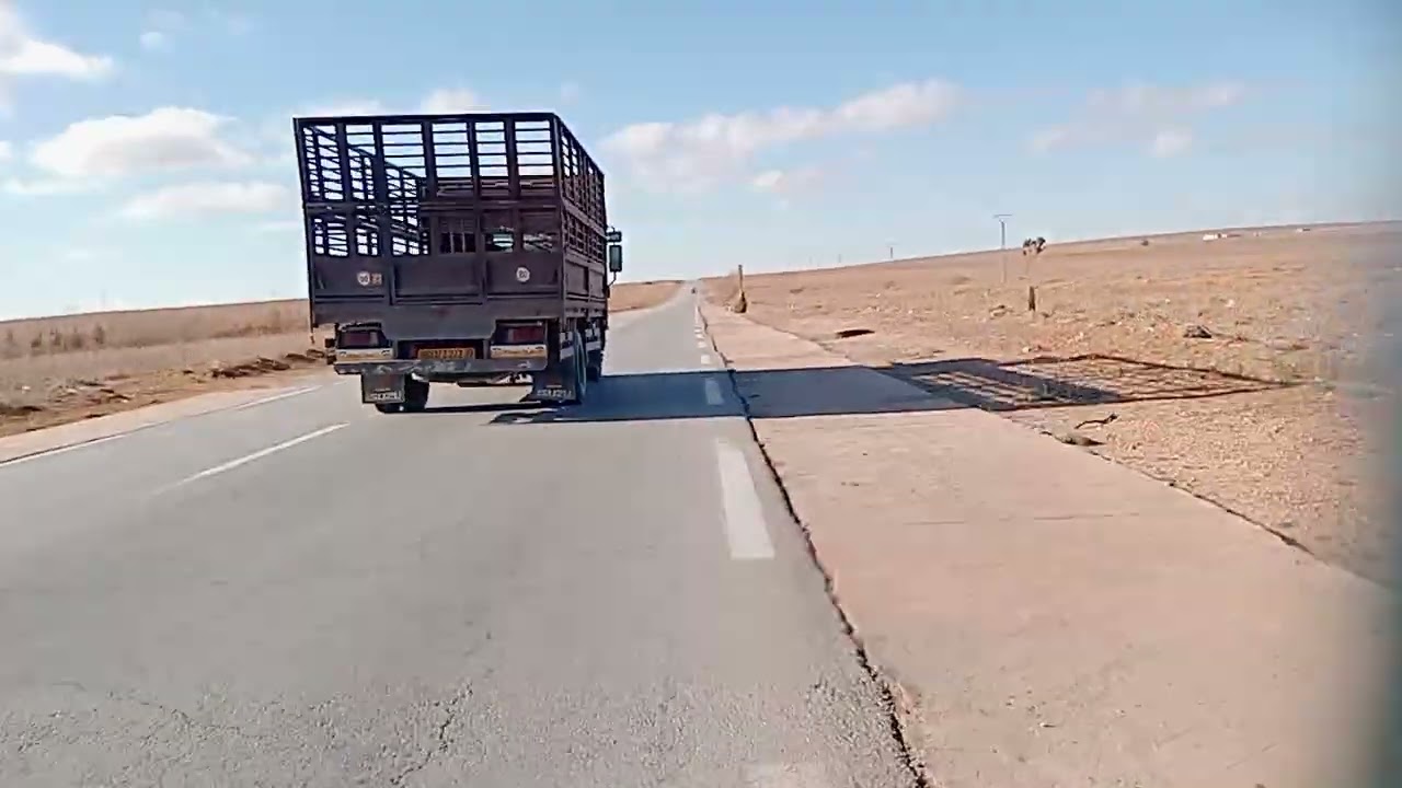 تومي زاوي 