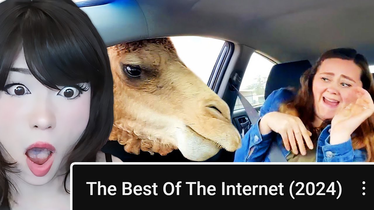 Emiru Reacts to The Best Videos Of The Internet 2024 by @DailyDoseOfInternet