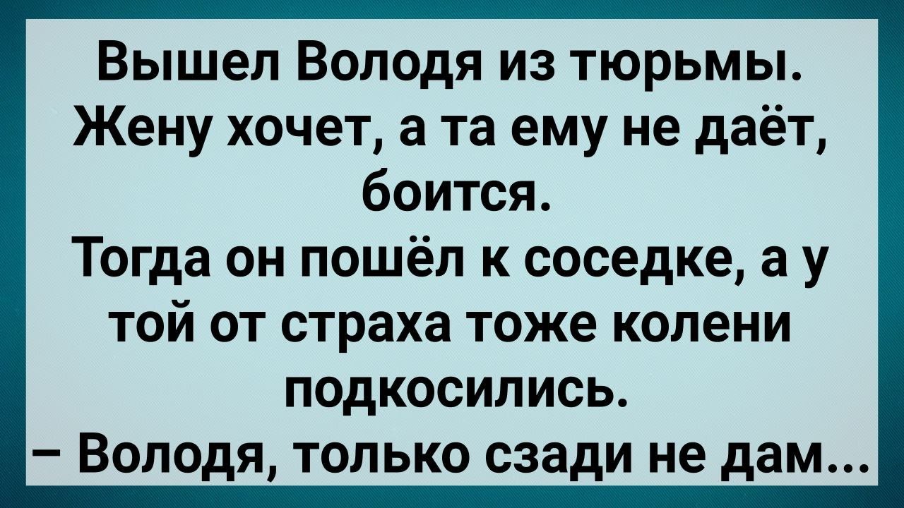 Как Володя из Тюрьмы Вышел! Сборник Свежих Анекдотов! Юмор!