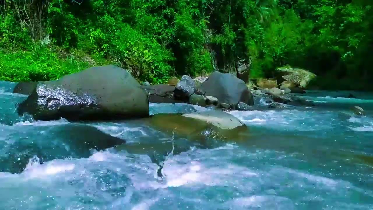 Gentle Stream in the Woods – Nature River Sounds for Relaxation