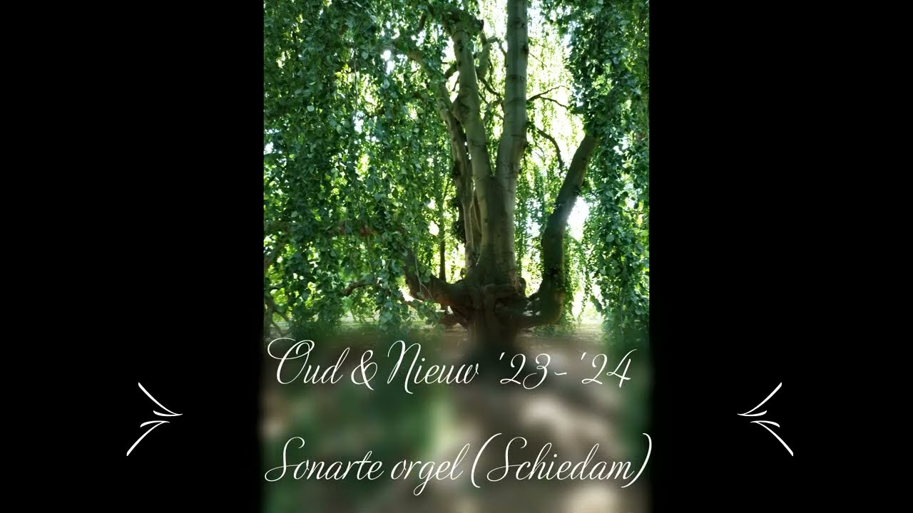 Psalmen bij Oud & Nieuw | Grote Kerk Schiedam (Sonarte Hauptwerk)