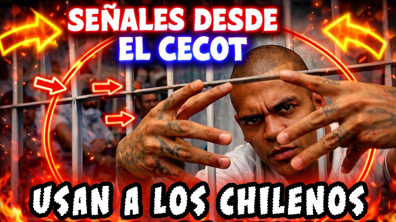 Pandilleros usan medios chilenos para enviar mensajes fuera del CECOT y quedan expuestos 👑