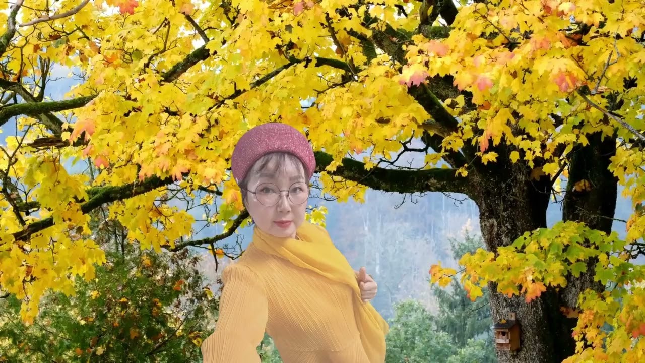 2026년 2월 24일
